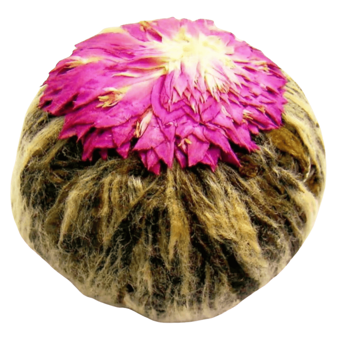 Sağlık Çayı (Çay Bombası)