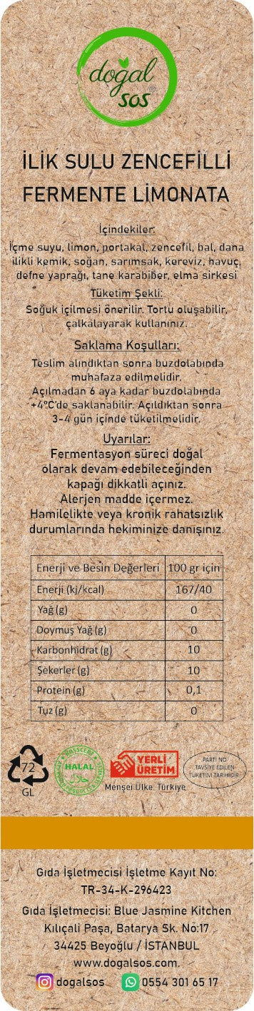 İLİK SULU ZENCEFİLLİ FERMENTE LİMONATA 250ML