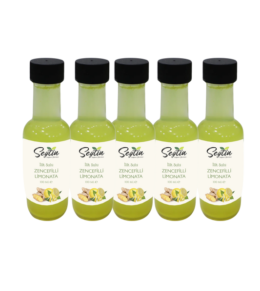 Merg sap gember limonade 100 ml 5-pack