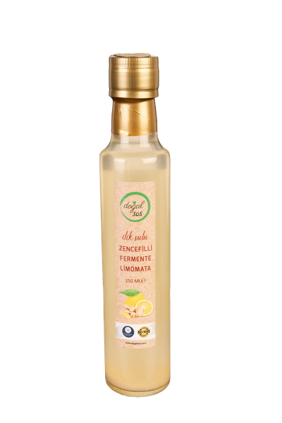 İLİK SULU ZENCEFİLLİ FERMENTE LİMONATA 250ML