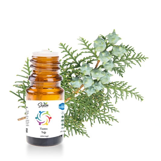 Tantra Yağı